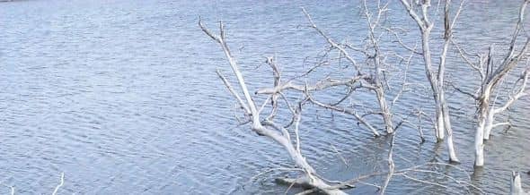 A good location to find trout is often the same place people look for bass and crappie during the warmer months.