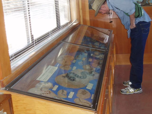 Display cases inside the Nature Center show small animals, reptiles, birds, and live snakes.