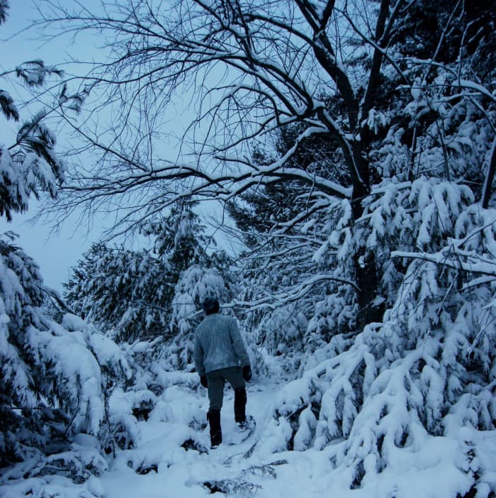Snowshoeing is the most intuitive of all winter sports. If you can walk, you can snowshoe.