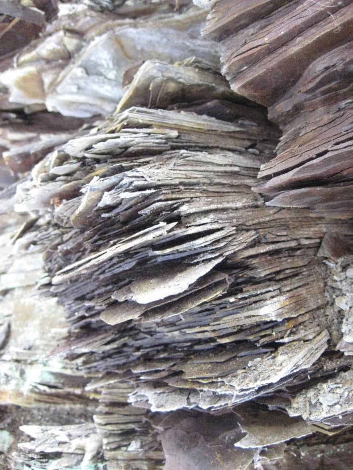 Fragile shale undercuts most of the ravines in Chestnut Ridge Park, so don't stand too close to the edge.