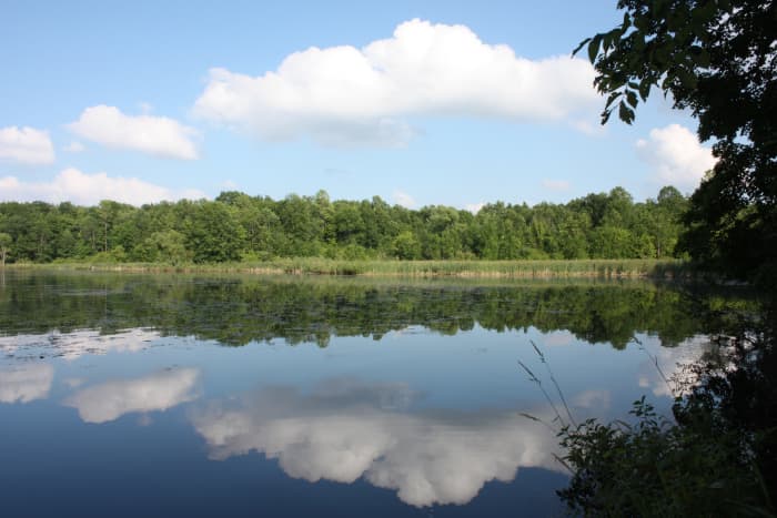 The Parkway is filled with many great fishing hot spots. The wonderful scenery within the Parkway is an added bonus to spending a day on the water.