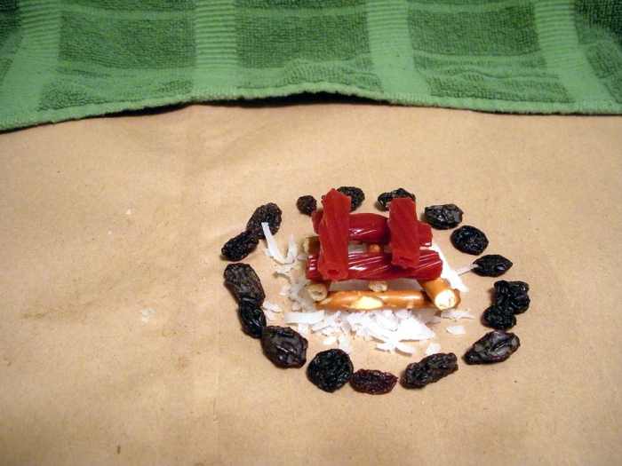 Teach Children to Build Campfires Safely at Home While Having Fun