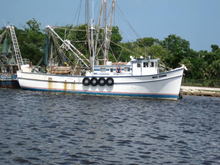 Find a shrimp boat like this one offshore 'culling' its catch and you will usually find tuna.