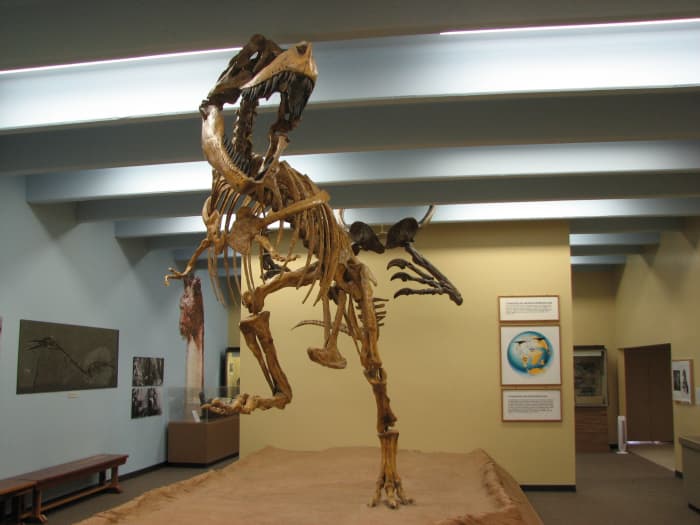 Blanding Dinosaur Museum