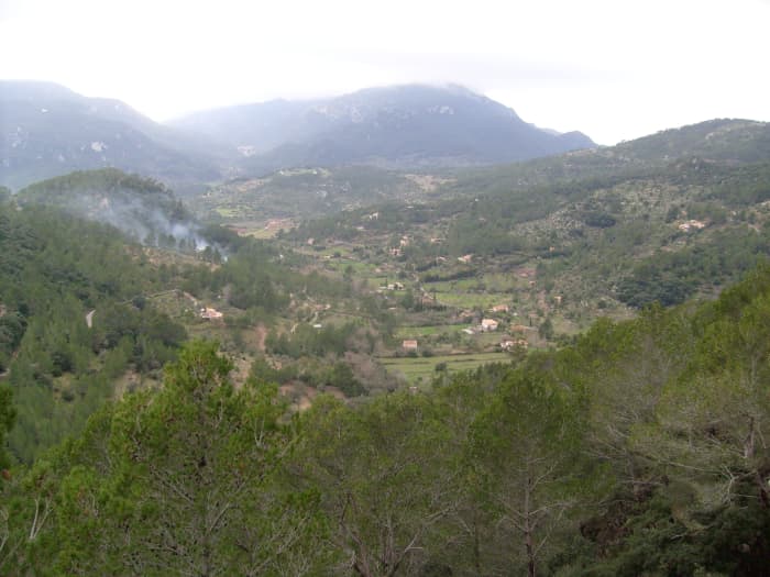 Looking out on the Serra de Tramuntana from the lush greenery of the Coll de Claret