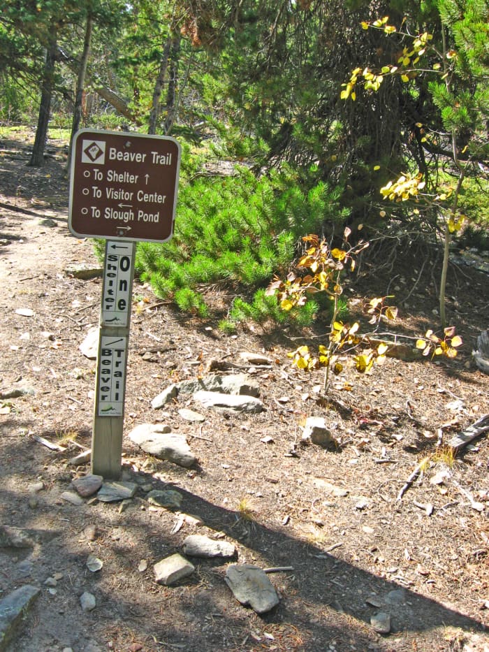 It seems to take 5 times longer than it should, but finally you reach the top. The trail is well-marked throughout, and it's easy to find your way.