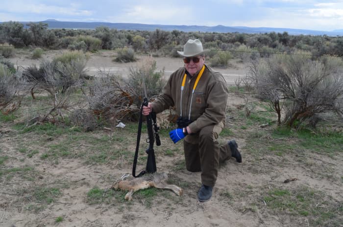 The bolt action Ruger M77/22M in .22 WMR still proves very effective with CCI and Remington ammunition.
