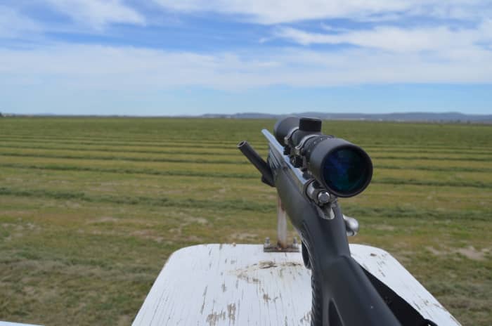 Firing from an elevated platform is a benefit I've seldom enjoyed but greatly appreciated.