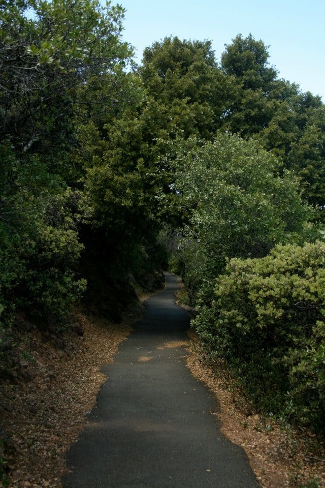 The Verna Dunshee trail is paved with asphalt, making it wheelchair accessible. It runs along cliffs in places, so beware of sheer drops.