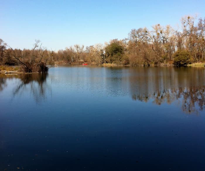 A short, relatively easy nature trail at Lodi Lake Park travels along the lake and the Mokelumne River.