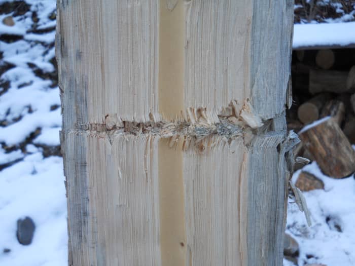 Six inch diameter log sectioned to show permanent cavity, bullet entered on left. Expansion began at one inch penetration.