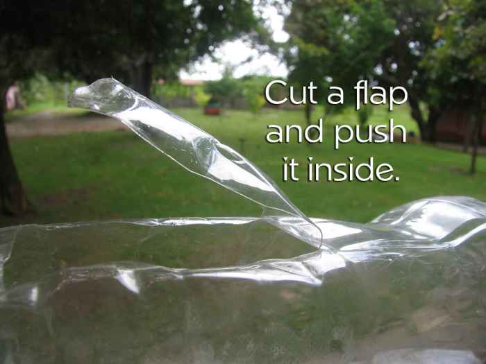 How to Make a Fish Trap out of a Bottle SkyAboveUs