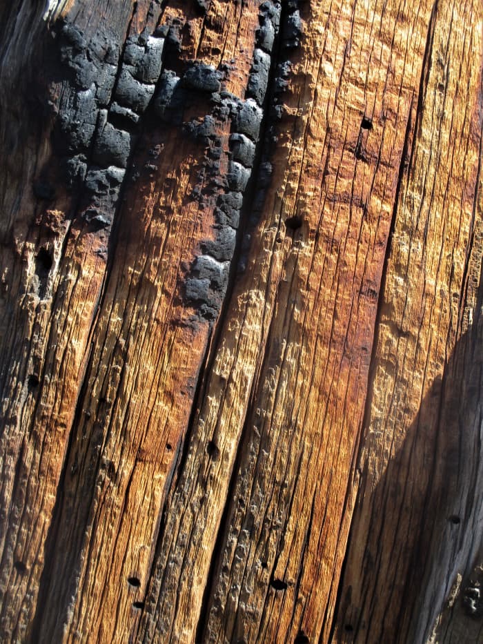 The hiking trails of Durango offer plenty of outdoor subject matter, suitable for the eclectic tastes of fine art photographers.