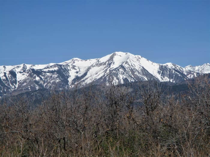 The west end loop of the Dahlas trail provides engaging springtime, views of the nearby snow-capped peaks, photo by author
