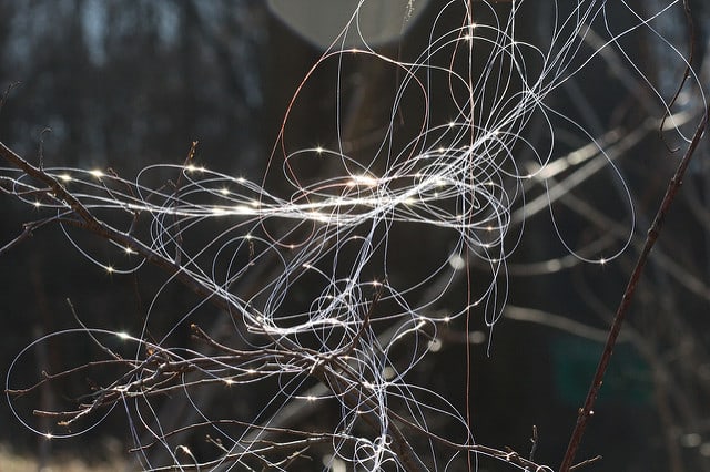 Sometimes fishing line tangles like these will happen anyway. When they do, at least pack out the line with you. Fishing line takes an incredibly long time to break down in nature, and can be extremely dangerous to wildlife.