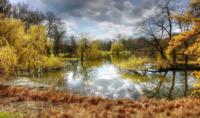Casting and dropping lures close to fish-holding structures, like these overhanging trees, is where baitcasting reels really shine.