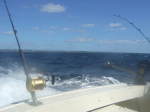 When targeting really big fish, flush mount rod holders will provide the most stable solution. As an added bonus, they preserve the aesthetic of the boat, as they are far less noticeable.