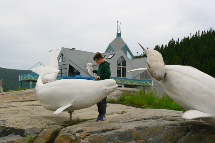 A marine mammal interpretation center is located near the harbor in Tadoussac. Take a zodiac tour to see the whales in the wild.
