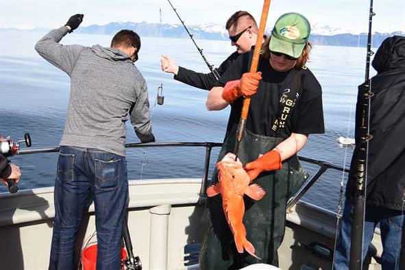 For many fish species such as rock fish, each jig drop is a shot in the dark unless you're able to first locate fish holding structure.