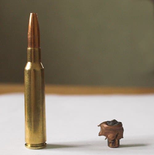 6.5mm progenitor: the 6.5x55 Swedish with bullet recovered from a moose.