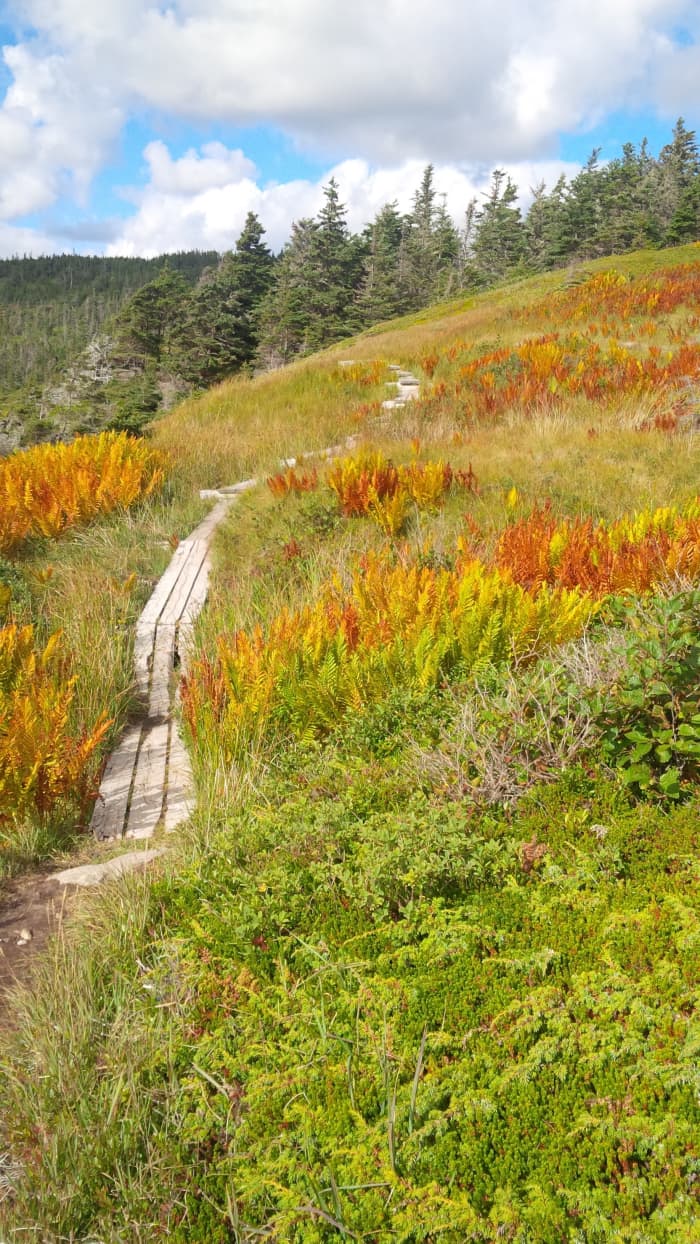 The East Coast Trail, Bay Bulls to the Lighthouse - SkyAboveUs