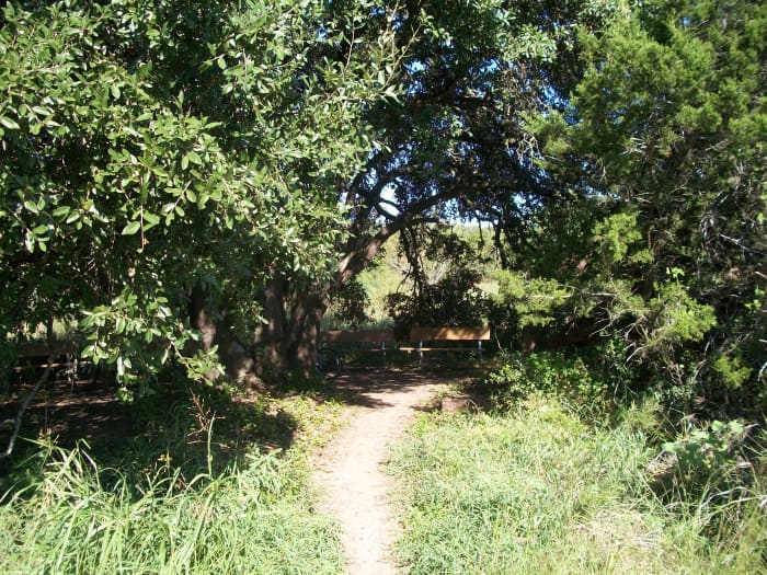 Top 5 San Marcos Hiking Trails - SkyAboveUs