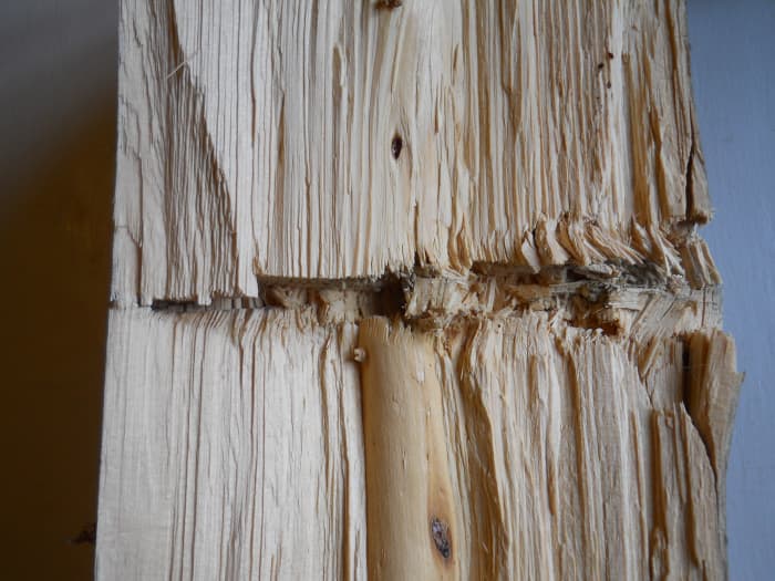 Permanent cavity made in green spruce by 260 grain, .375 caliber AccuBond. Bullet traveled left to right. Expansion began within first 2 inches of penetration. Author has observed similar effects in game animals when AccuBonds strike bone.