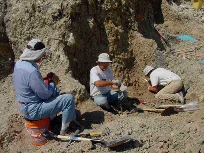 Top 10 American Gemstone Hunting Vacations WanderWisdom