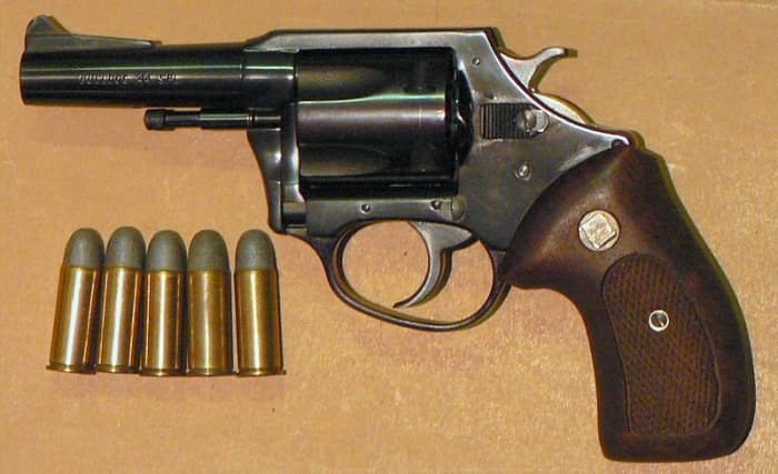 Charter Arms Bulldog .44 Special. Affordable, concealable big-bore mouse cannon.