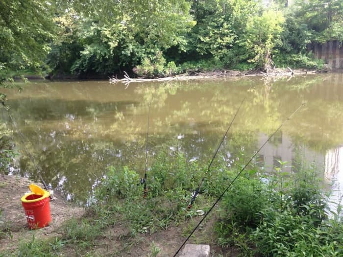 The mouth of a tributary is a great place to fish for these monsters; double bonus if there is submerged timber.