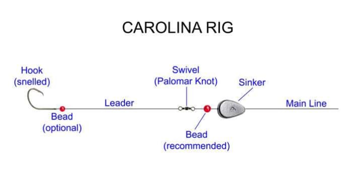 tips-for-catching-channel-catfish-with-chicken-liver-isca