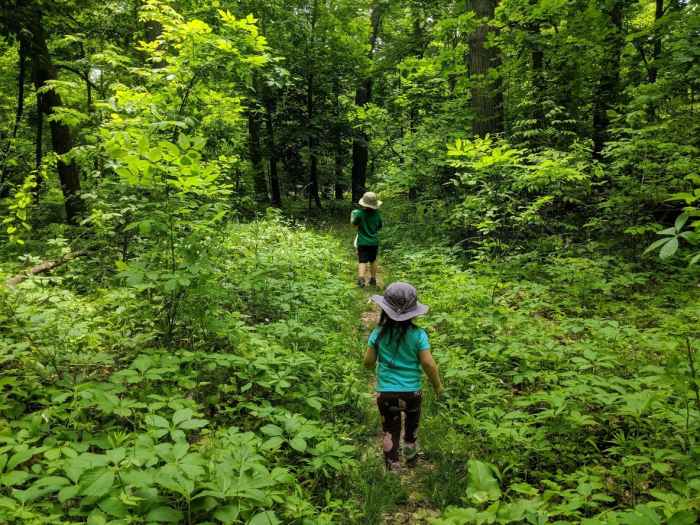 10 Tips for Hiking With Toddlers SkyAboveUs
