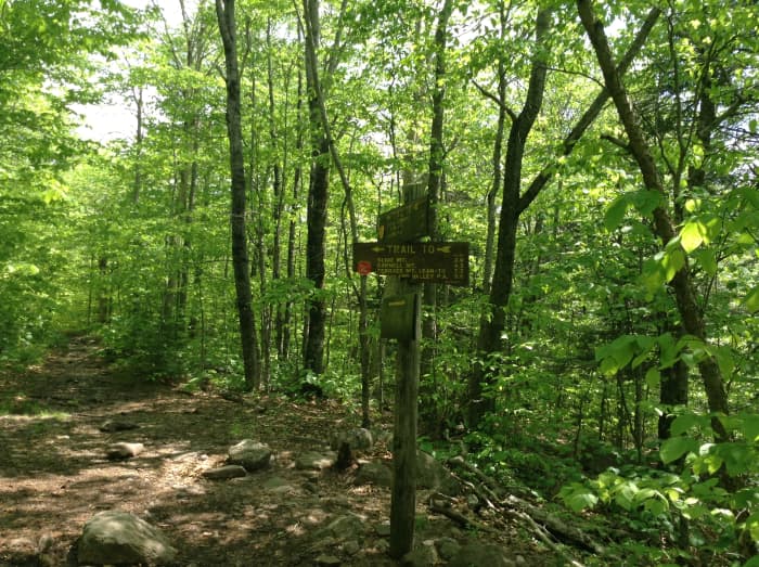 Catskill Hike: Slide Mountain - HubPages