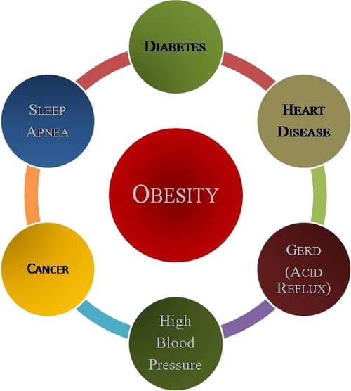 the-countries-with-the-lowest-and-highest-obesity-rates-caloriebee