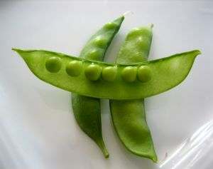 Snow peas are fun finger foods and kids love to dip them in ranch dip. They are rich sources of iron.