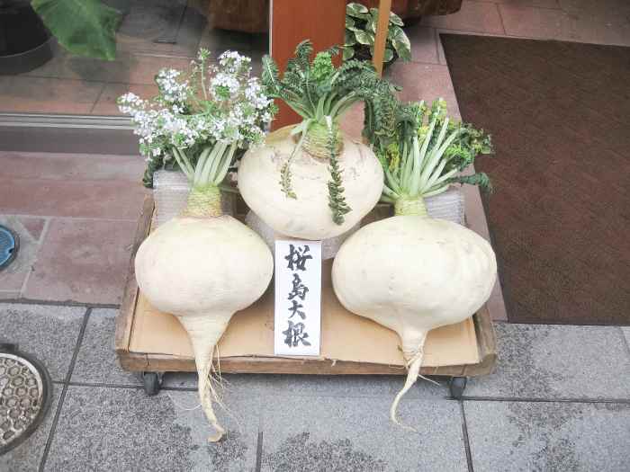 Radishes Roots, Leaves, Nutrients, and Potential Health Benefits