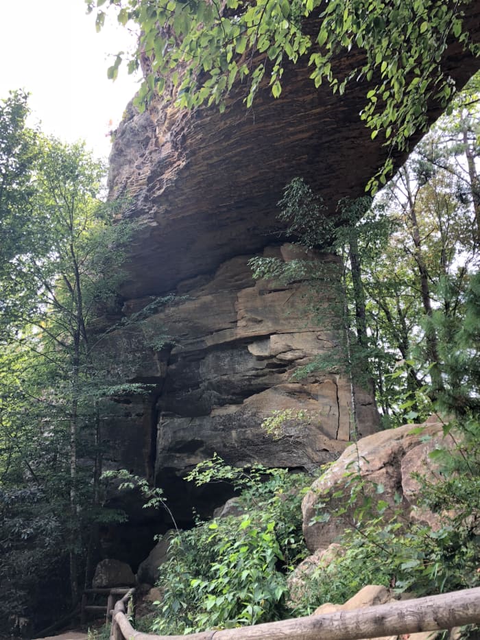 Part of the Natural Bridge. It is so massive, it is hard to capture it all in a photo!