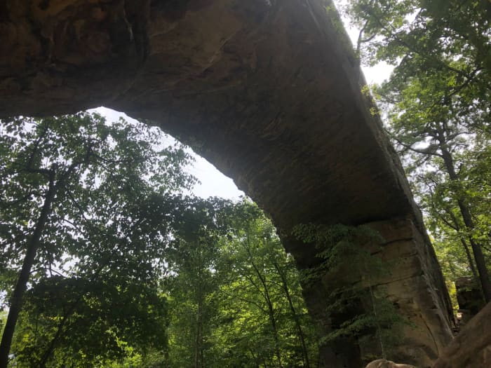 Another angle of the Natural bridge in the Red River Gorge and Geological Area in Daniel Boone National Forest.