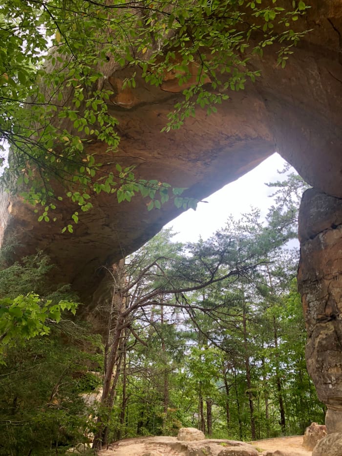 Beautiful Rocks and Life at the Natural Bridge in Kentucky! One of the many natural bridges in the Daniel Boone National Forest.