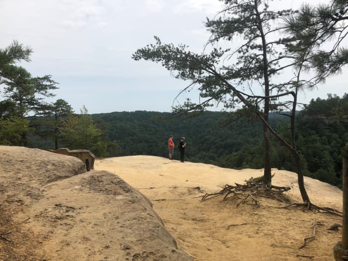One of the bluff areas where you can look out into the distance. You have to be careful, but it is well worth the hike!