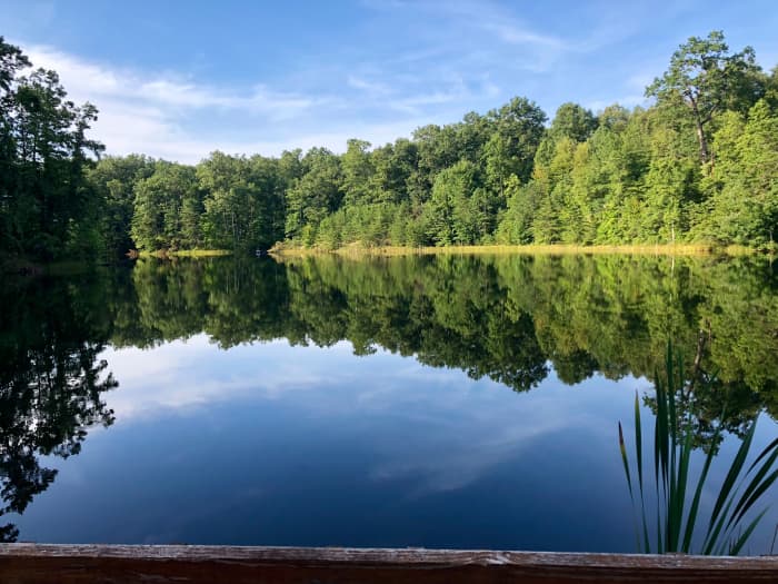 This view is from the bottom of the small hill where we were staying in our beautiful little cabin, Sneaky Bear Cabin. It was lovely!