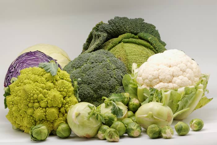 Broccoli: A Superfood Vegetable With Great Health Benefits - CalorieBee