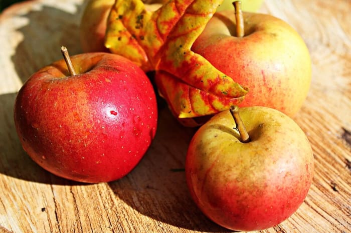 Significant quantities of benzoic acid have been found in apples. The presence of the chemical may depend on the existence of a fungal infection in the fruit, however.