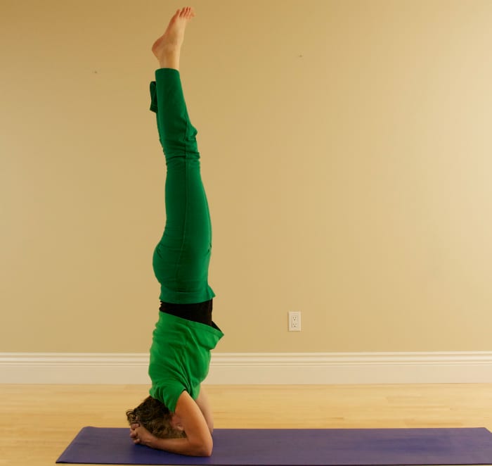 Press the hands and elbows into the floor and lift the chest out of the shoulders, engage the abdominals to lift the hips away from the ribs, hold the thighs together and lift them toward the ceiling, and relax the feet. Hold the position. Breathe.