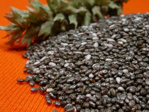 Raw, organic Chia seeds with USDA Certification offer much better value for money than processed, ready to drink or eat products.