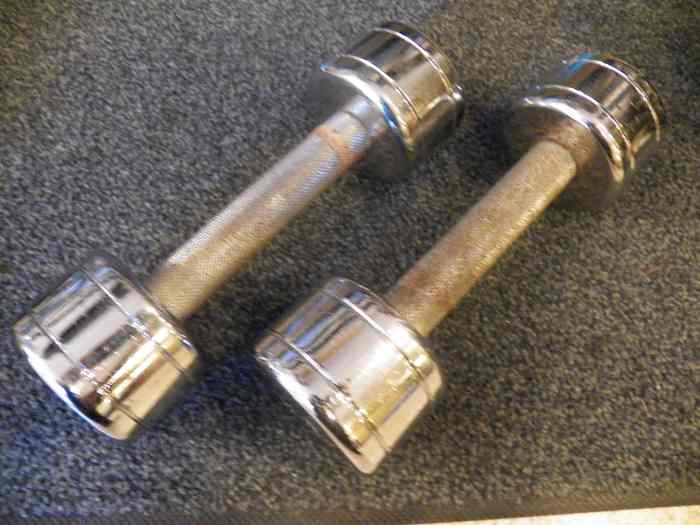 How to Maintain and Care for Weights or a Dumbbell Set CalorieBee