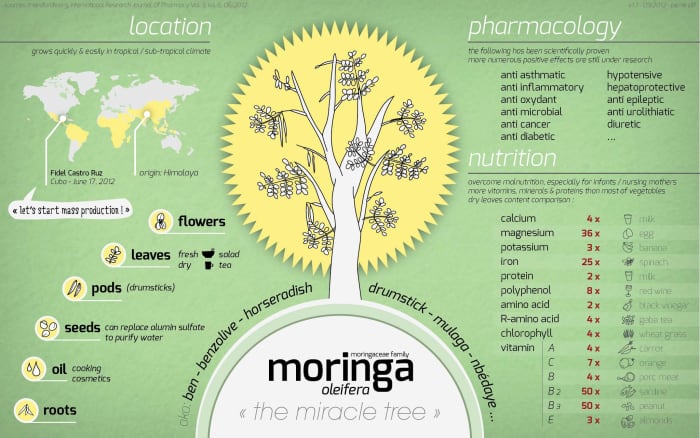 sahjan-or-moringa-oleifera-nutrition-and-health-benefits