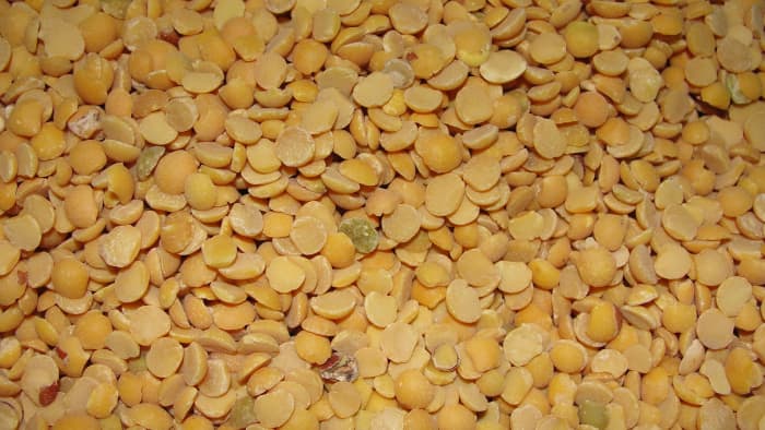 Lentils