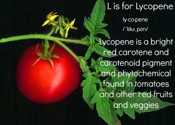 Foods Rich in Lycopene to Eat Every Day HubPages