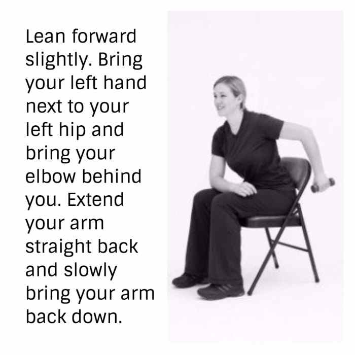 28 Strength Training, Balance & Chair Exercises for Seniors CalorieBee